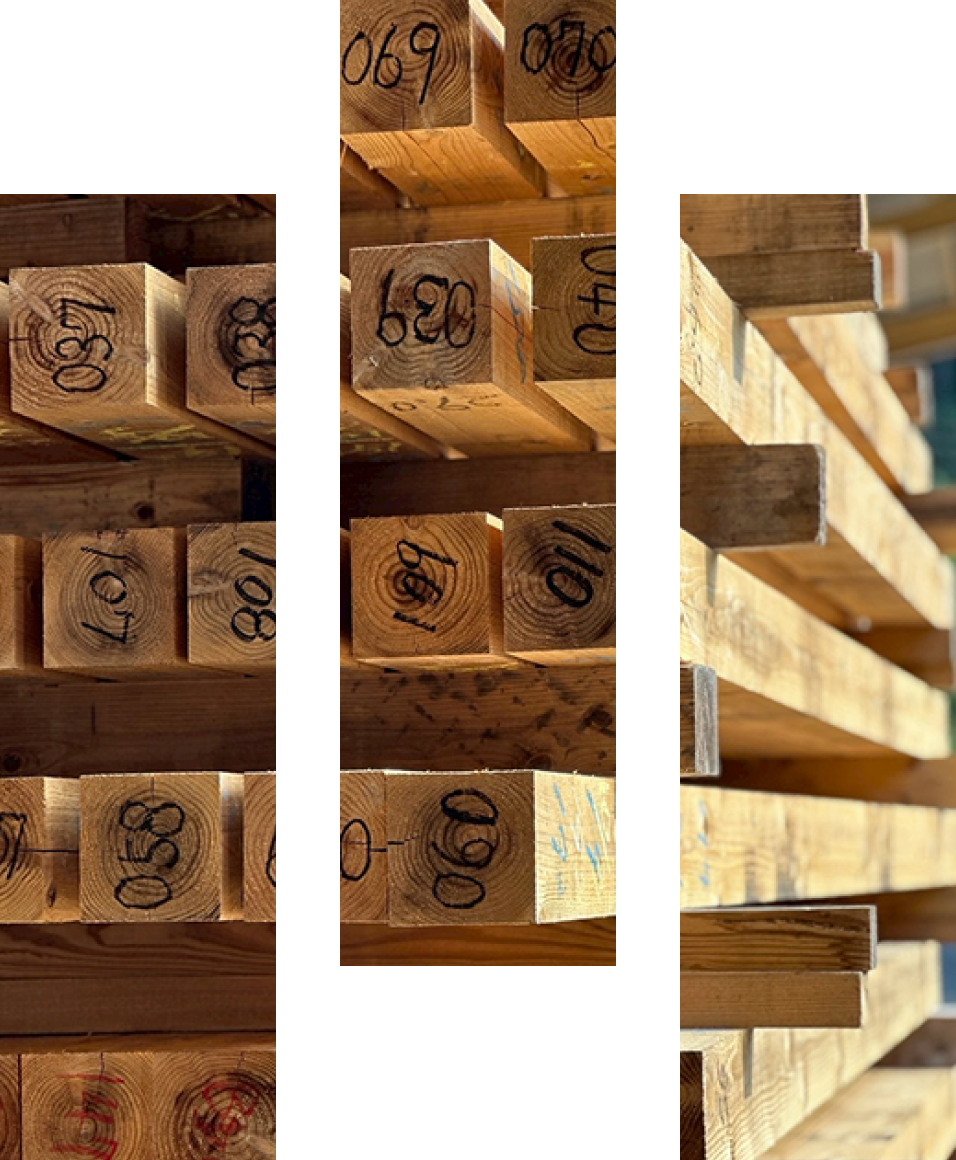 WITHDOM建築設計 福岡 注文住宅