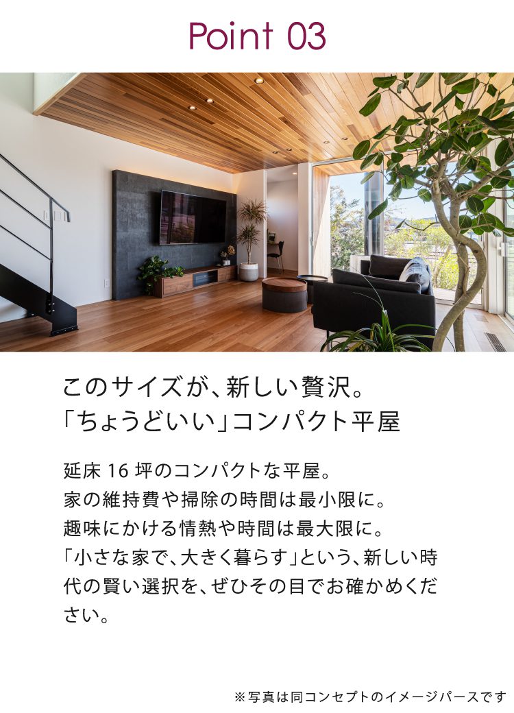 10月に八王子市で完成見学会を行う物件の特徴③

コンパクト平屋