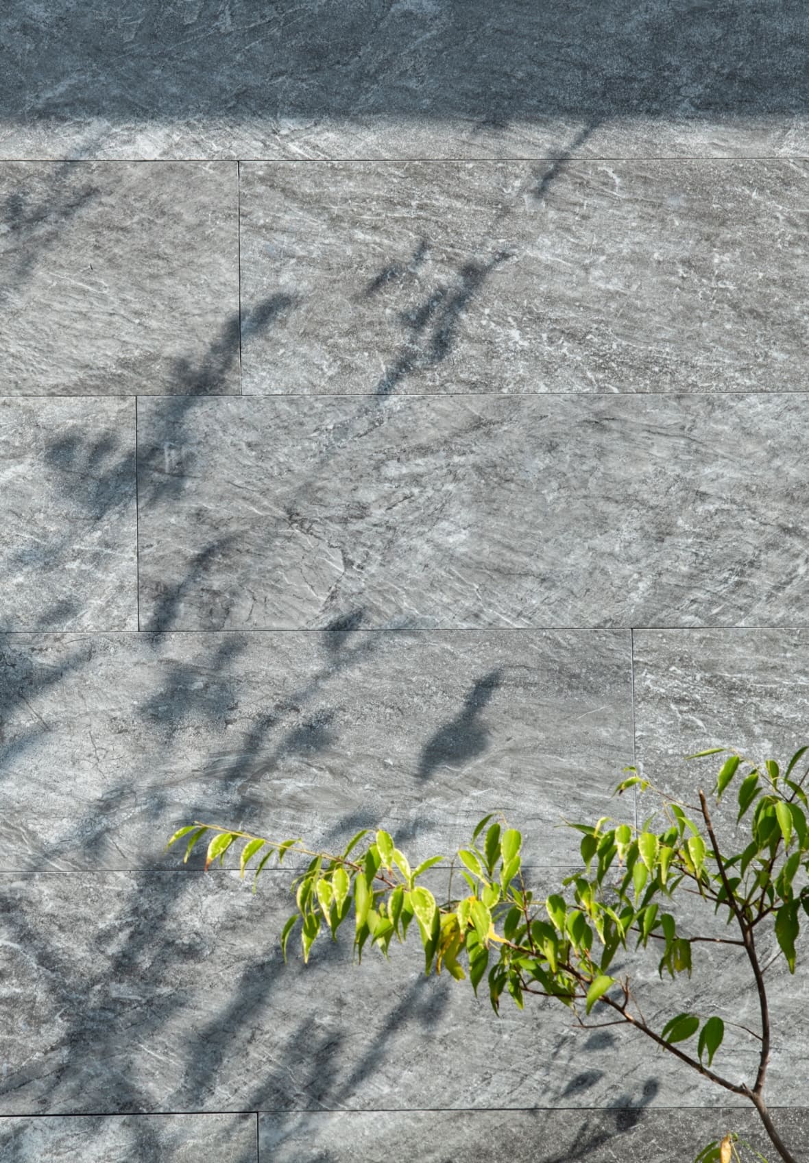 WITHDOM建築設計 三重スタジオ