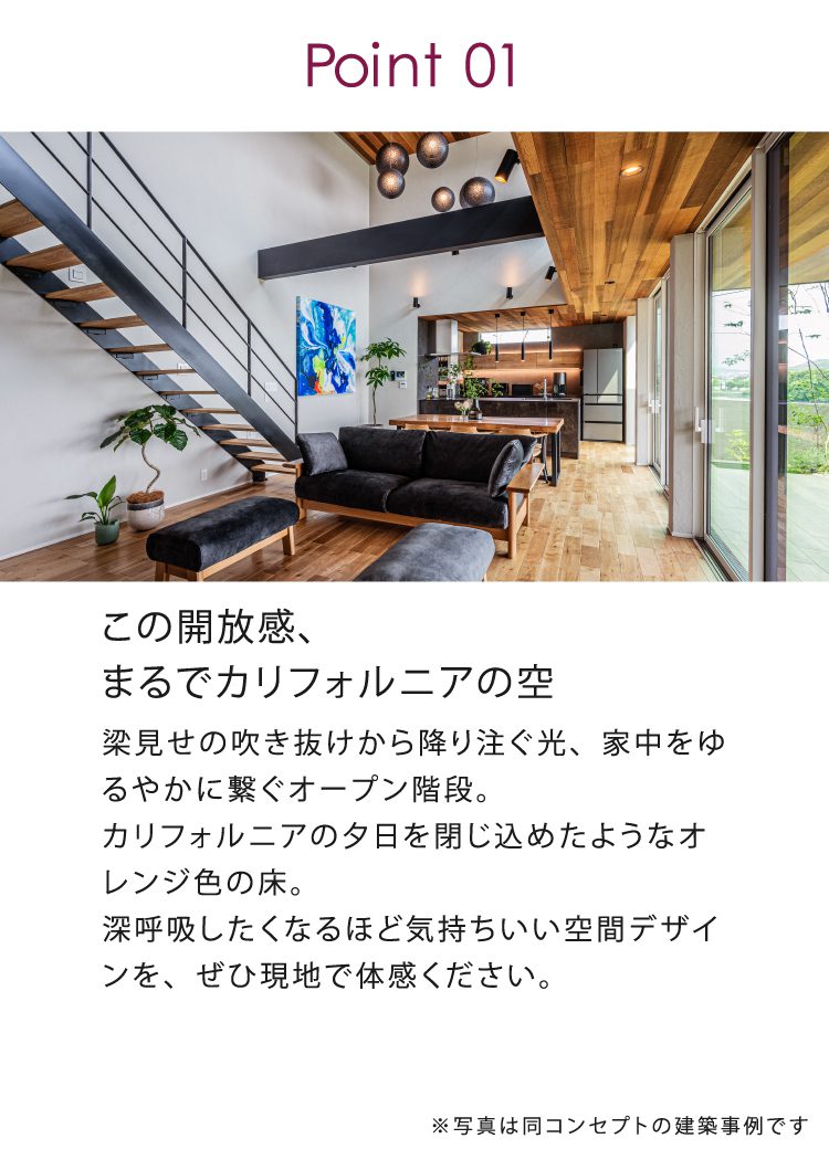 埼玉県久喜市栗橋北で完成見学会を行う物件の特徴①

カルフォルニアの空